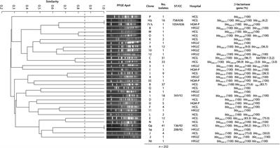 Carbapenem-Resistant Acinetobacter baumannii in Three Tertiary Care Hospitals in Mexico: Virulence Profiles, Innate Immune Response and Clonal Dissemination